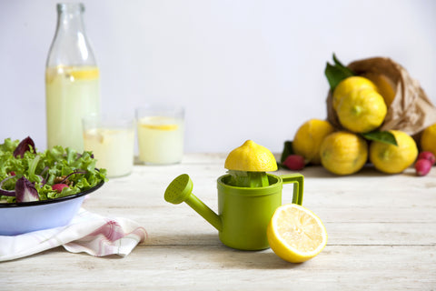 Peleg Design Citruspers en schenkkan 2-in-1 Lemoniere