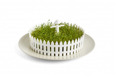 Peleg Design Zaadkiemer Seed Field