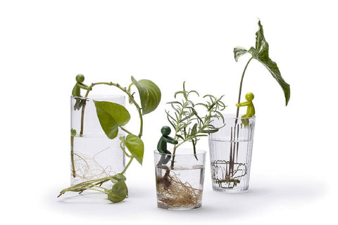 Peleg Design Stekjeshouder Leafriend
