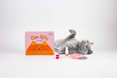 Gift Republic Massage kit - Cat