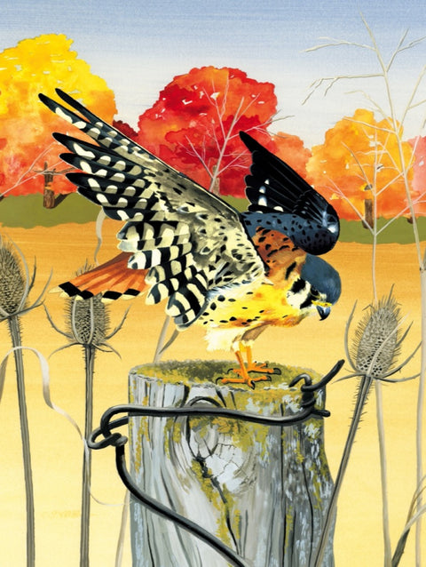 New York Puzzle Company Puzzel Cornell Lab American Kestrel - 1000 stukjes