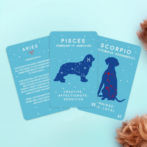 Gift Republic Kaartenset - Paw-mistry Dog edition