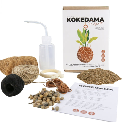 Gift Republic DIY kit - Kokedama