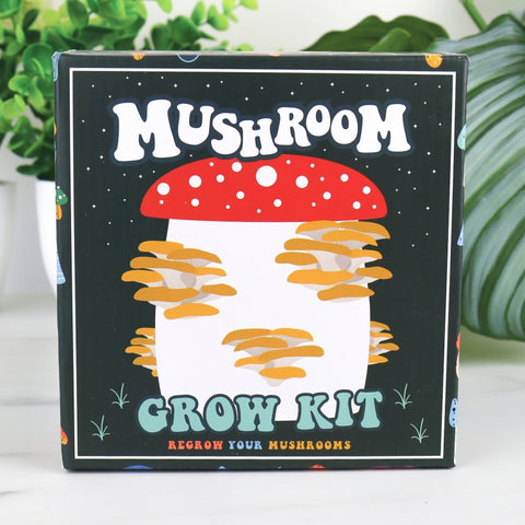 Gift Republic Grow It Kweekset - Mushroom