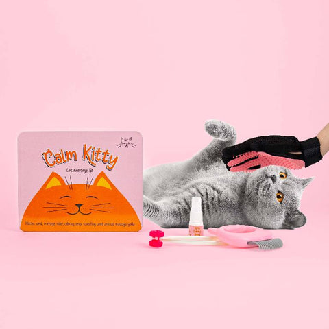 Gift Republic Massage kit - Cat