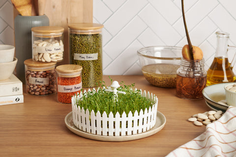 Peleg Design Zaadkiemer Seed Field