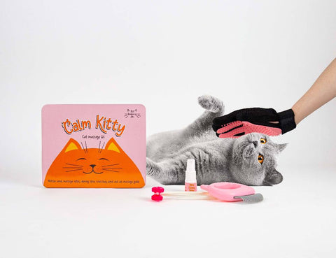 Gift Republic Massage kit - Cat