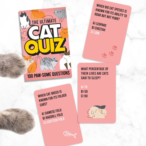 Gift Republic Trivia - Cat