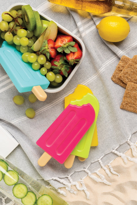 Ototo Koelelementen Ice Pops set van 4