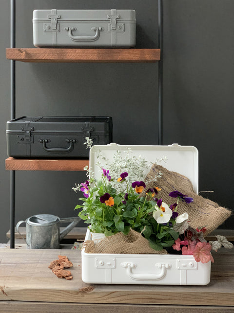 Hachiman Trunk Story Opbergkoffer S