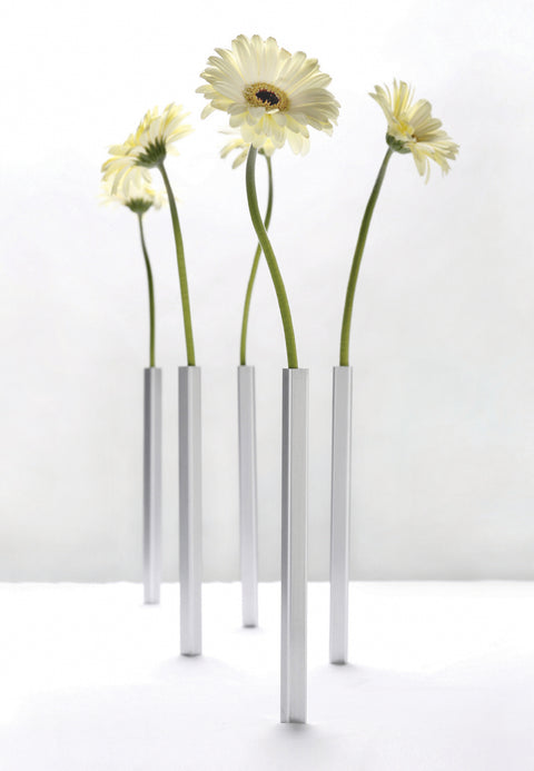 Peleg Design Vaas magnetisch set van 5