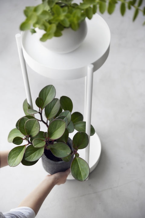 Yamazaki Tower Plantenstandaard 2-laags op wielen