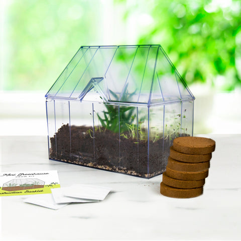 Gift Republic Kweekkas - Green House Grow Kit