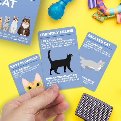 Gift Republic Kaartenset - How to speak cat