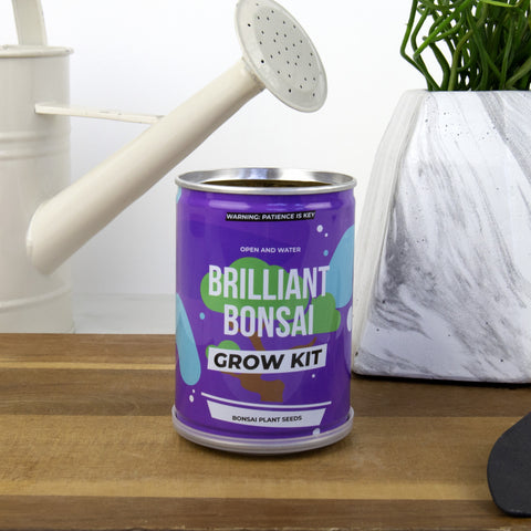 Gift Republic Kweekset - Brilliant Bonsai Tin