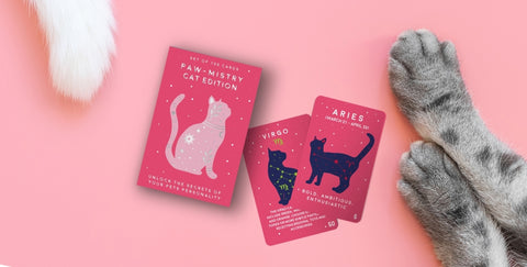 Gift Republic Kaartenset - Paw-mistry Cat edition