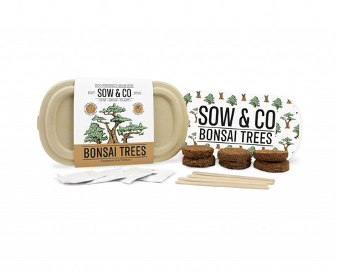 Gift Republic Sow & Co Kweekset - Bonsai Trees