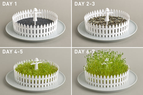Peleg Design Zaadkiemer Seed Field