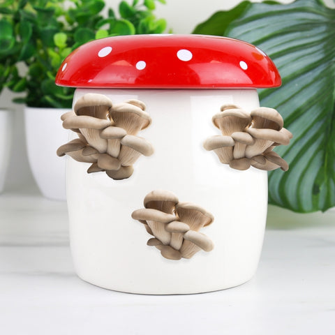 Gift Republic Grow It Kweekset - Mushroom