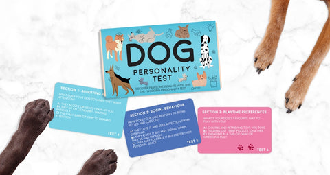 Gift Republic Kaartenset - Dog Personality Test