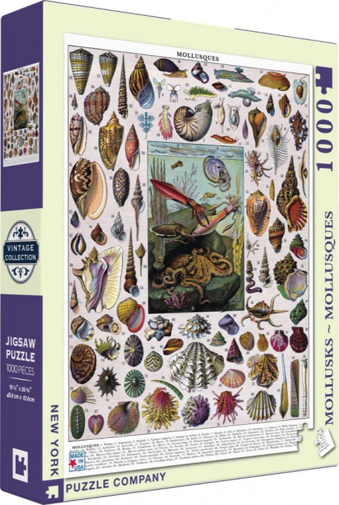 New York Puzzle Company Puzzel Mollusks - 1000 stukjes