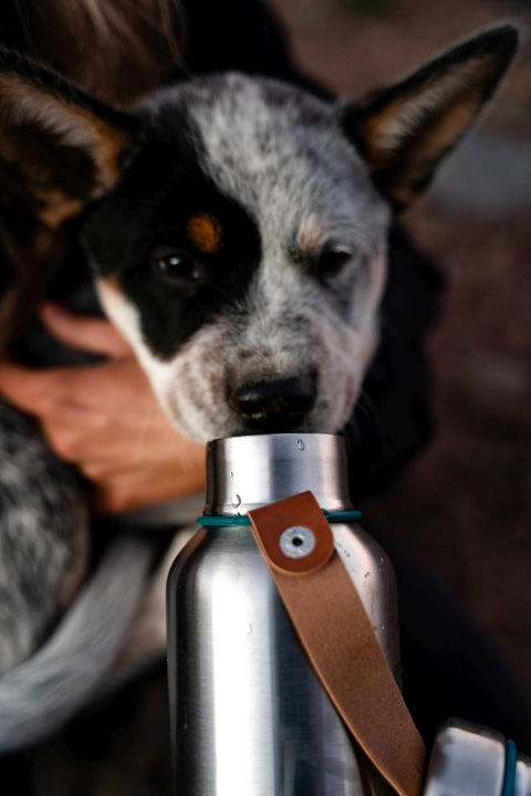 Black+Blum Insulated Water Bottle - Thermosfles - 0.5Ltr