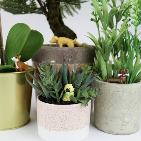 Gift Republic Plantenpot decoratie - Adorable Dogs