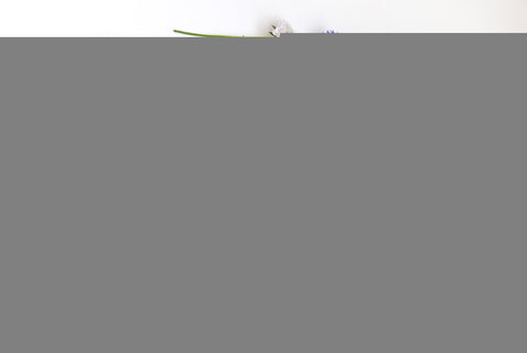 Printworks Flower Press Kit
