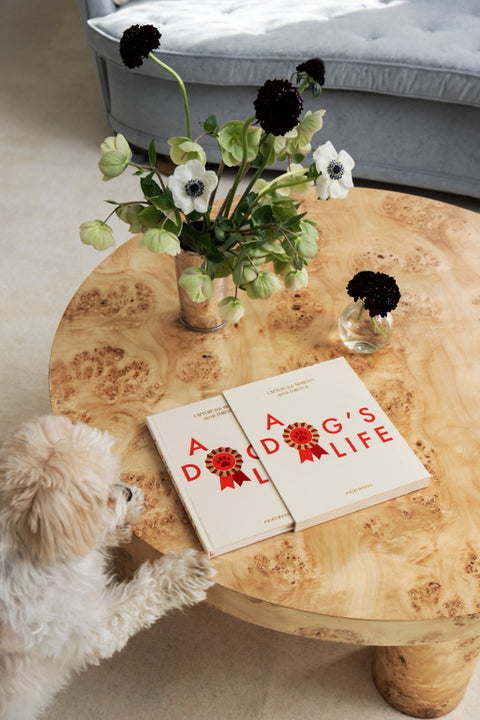 Printworks Dog Journal - A Dog's Life
