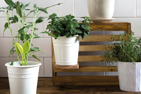 Peleg Design Kruidenschaar Leafers