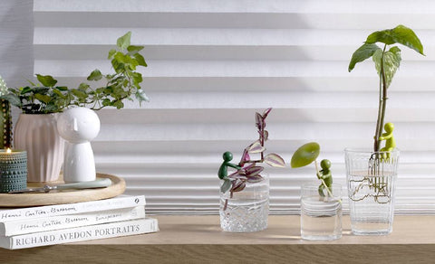 Peleg Design Stekjeshouder Leafriend