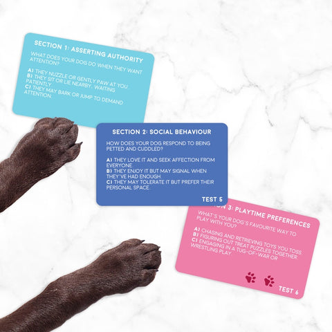 Gift Republic Kaartenset - Dog Personality Test