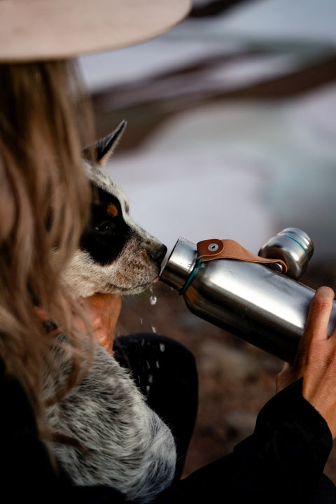 Black+Blum Insulated Water Bottle - Thermosfles - 0.5Ltr