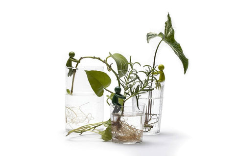 Peleg Design Stekjeshouder Leafriend