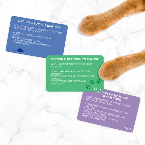 Gift Republic Kaartenset - Cat Personality Test