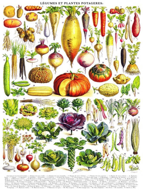 New York Puzzle Company Puzzel Vegetables ~ Légumes - 1000 stukjes