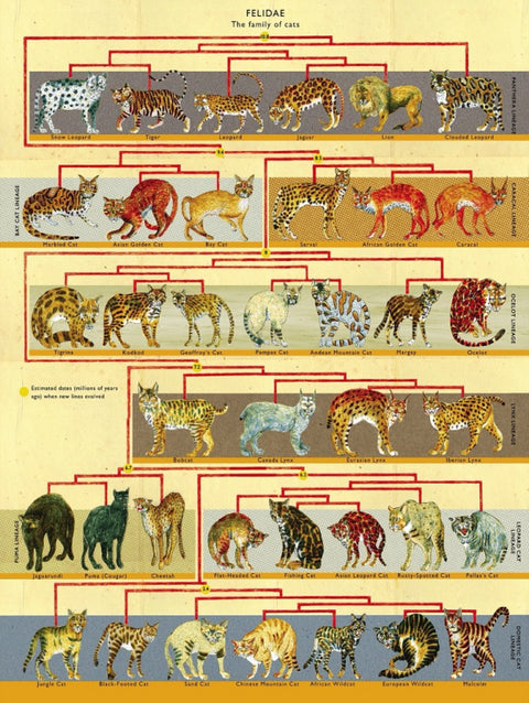 New York Puzzle Company Puzzel Feline Family Tree - 500 stukjes