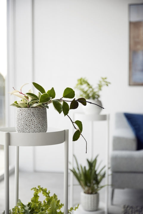 Yamazaki Tower Plantenstandaard 2-laags op wielen