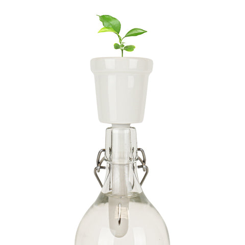 Gift Republic Botanical Bottles Kweekset - Coffee