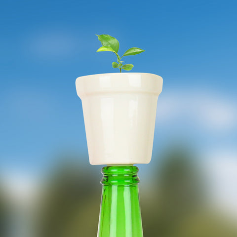 Gift Republic Botanical Bottles Kweekset - Bonsai Trees
