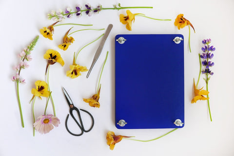 Printworks Flower Press Kit