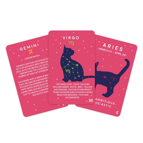 Gift Republic Kaartenset - Paw-mistry Cat edition