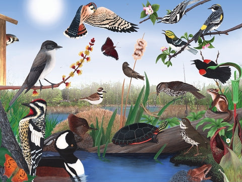 New York Puzzle Company Puzzel Spring Trail - 1000 stukjes