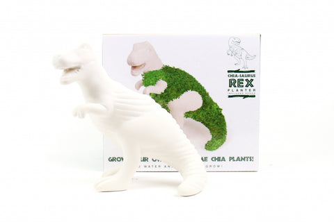 Gift Republic Plantenpot met chiazaden - Saurus-rex