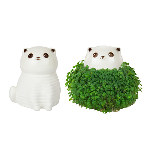 Gift Republic Plantenpot met chiazaden - Cat