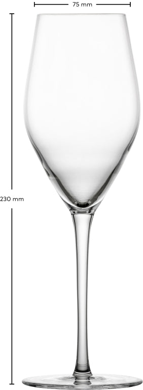 Schott Zwiesel Bar Special Champagneglas met MP 773 - 0.302Ltr - 4 glazen