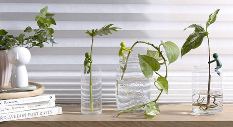 Peleg Design Stekjeshouder Leafriend