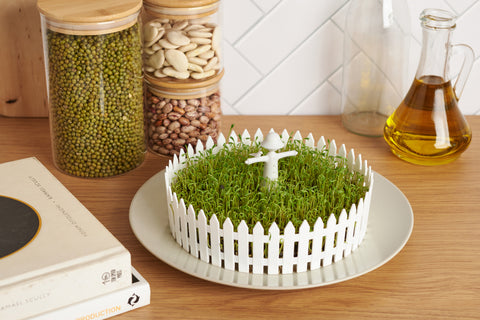Peleg Design Zaadkiemer Seed Field