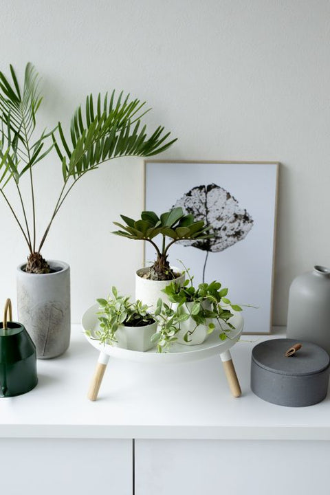 Yamazaki Plain Dienblad met poten