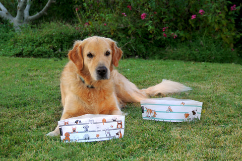 Peleg Design Hondenbak Wuff 'n go set van 2